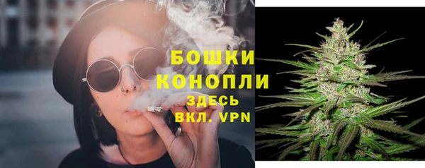 гидра Ладушкин