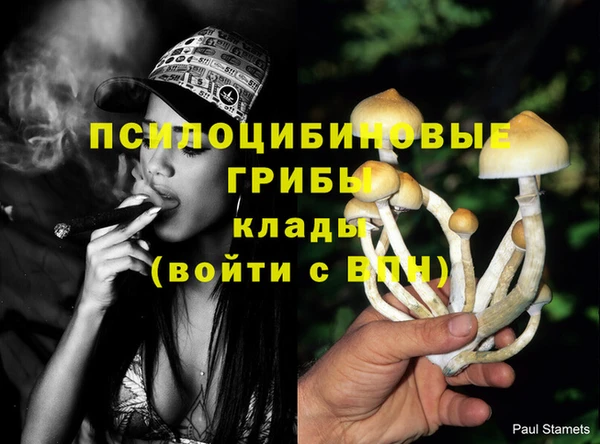 гидра Ладушкин
