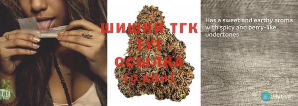 гидра Ладушкин