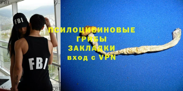 гидра Ладушкин